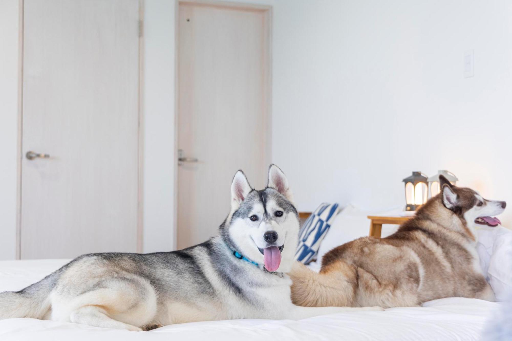 Lemon Farm Glamping Simanami Villa โอโนะมิจิ ภายนอก รูปภาพ